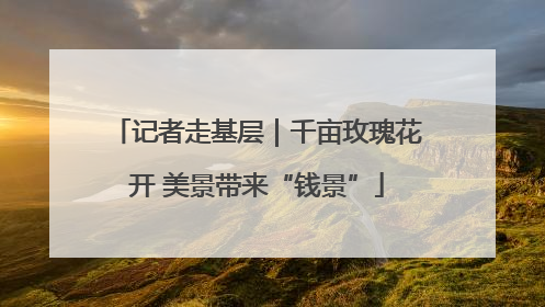 记者走基层｜千亩玫瑰花开 美景带来“钱景”